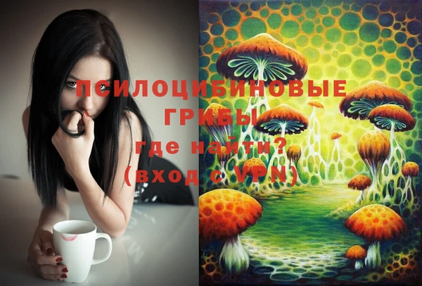 альфа пвп Нефтегорск