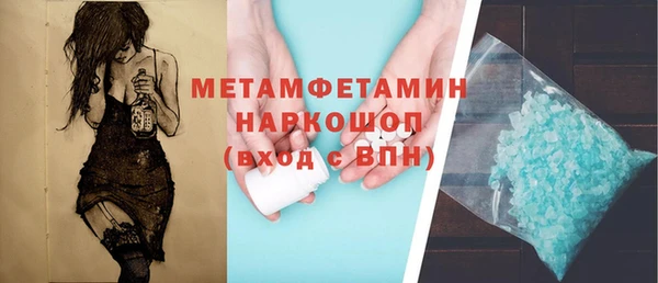 индика Нея