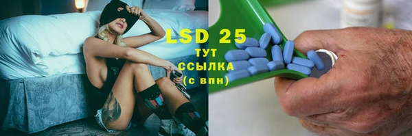 индика Нея