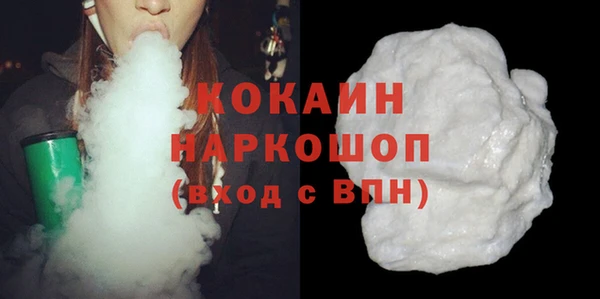индика Нея