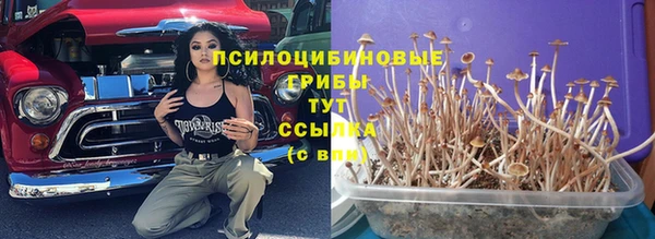 альфа пвп Нефтегорск