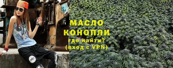 индика Нея