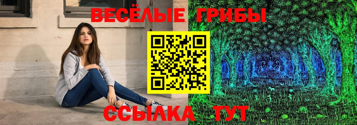 Галлюциногенные грибы Psilocybine cubensis Тверь