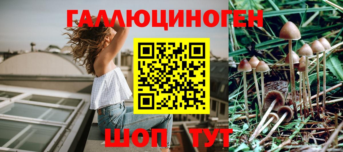 Псилоцибиновые грибы Magic Shrooms  Тверь 