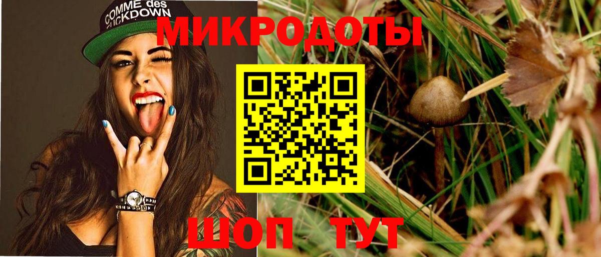 Галлюциногенные грибы прущие грибы  Псилоцибиновые грибы GOLDEN TEACHER  Вход с VPN  Тверь 